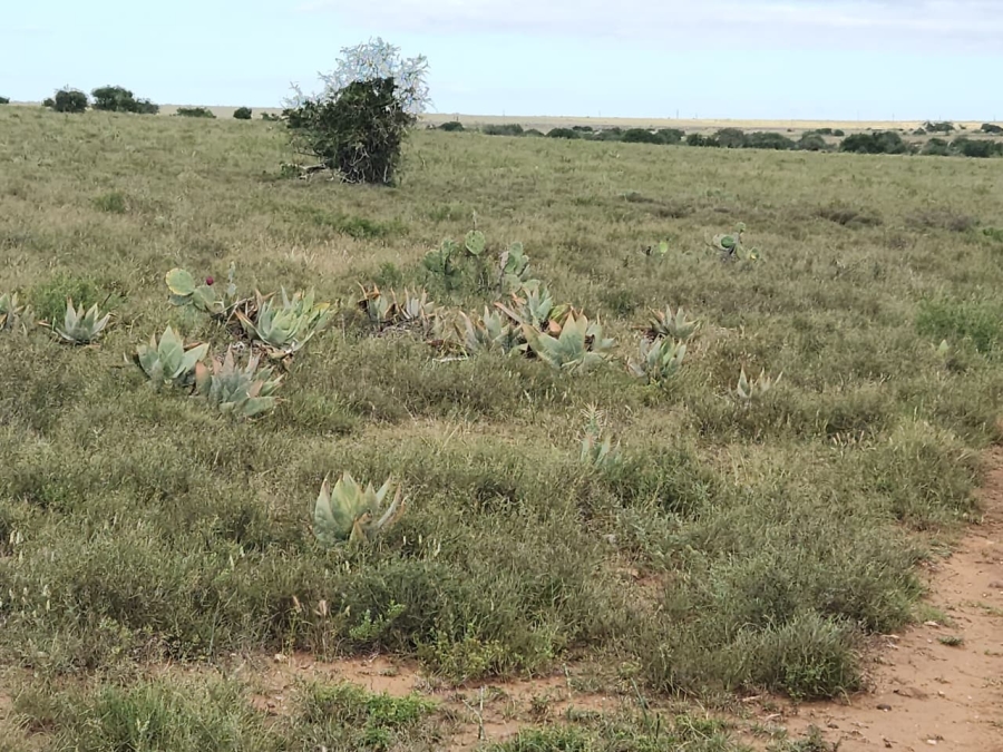 Commercial Property for Sale in Somerset East Rural Eastern Cape